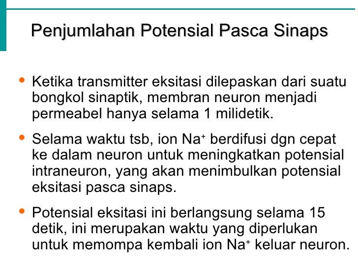 Detik Ke Milidetik | fisiologi jaringan saraf Detik Ke Milidetik | fisiologi jaringan saraf