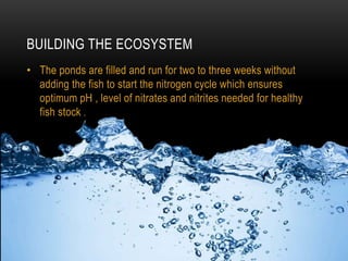 BUILDING THE ECOSYSTEM
• The ponds are filled and run for two to three weeks without
adding the fish to start the nitrogen cycle which ensures
optimum pH , level of nitrates and nitrites needed for healthy
fish stock .
 