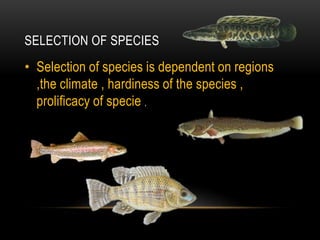 SELECTION OF SPECIES
• Selection of species is dependent on regions
,the climate , hardiness of the species ,
prolificacy of specie ,
 