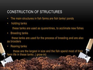 CONSTRUCTION OF STRUCTURES
• The main structures in fish farms are fish tanks/ ponds
• holding tanks
these tanks are used as quarentines, to acclimate new fishes
• Breeding tanks
these tanks are used for the process of breeding and are also
as brooders
• Rearing tanks
these are the largest in size and the fish spend most of their
farm life in these tanks .( grow-in)
 