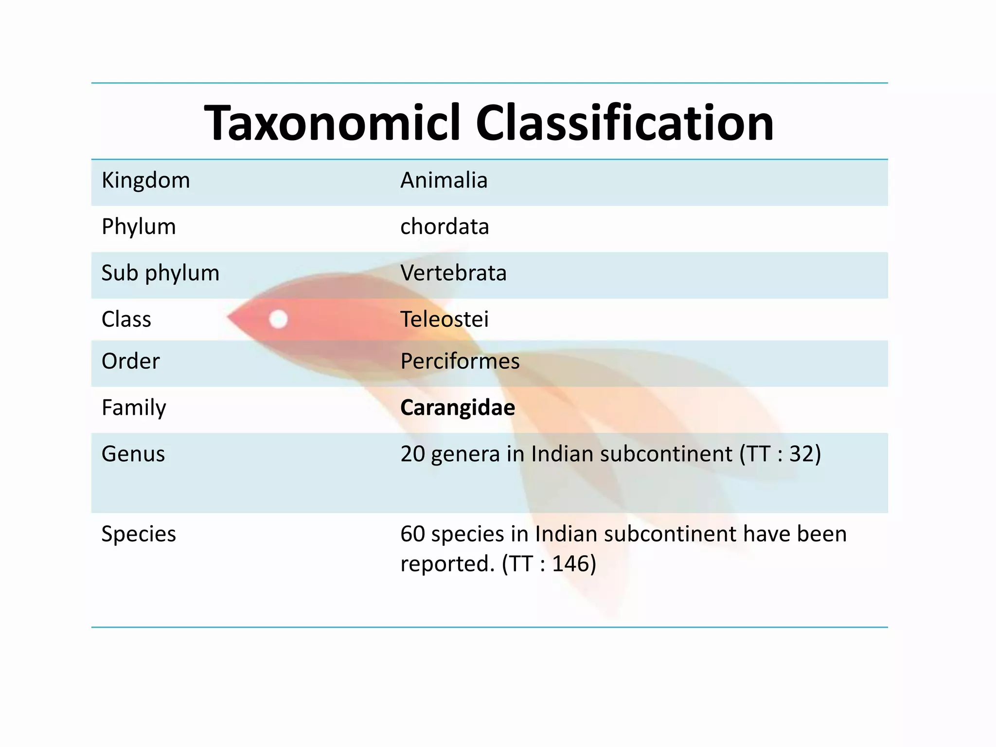 Are Strandi Fish family carangidae | PPTX