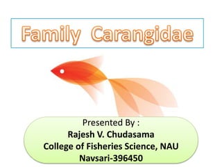 Presented By :
Rajesh V. Chudasama
College of Fisheries Science, NAU
Navsari-396450
 