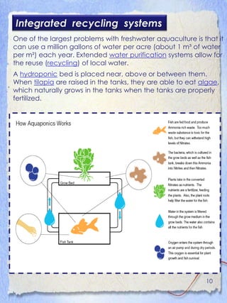 Integrated recycling systems
One of the largest problems with freshwater aquaculture is that it
can use a million gallons of water per acre (about 1 m³ of water
per m²) each year. Extended water purification systems allow for
the reuse (recycling) of local water.
A hydroponic bed is placed near, above or between them.
When tilapia are raised in the tanks, they are able to eat algae,
which naturally grows in the tanks when the tanks are properly
fertilized.




                                                            10
 