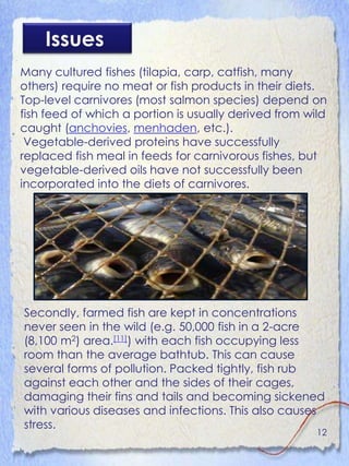Issues
Many cultured fishes (tilapia, carp, catfish, many
others) require no meat or fish products in their diets.
Top-level carnivores (most salmon species) depend on
fish feed of which a portion is usually derived from wild
caught (anchovies, menhaden, etc.).
 Vegetable-derived proteins have successfully
replaced fish meal in feeds for carnivorous fishes, but
vegetable-derived oils have not successfully been
incorporated into the diets of carnivores.




Secondly, farmed fish are kept in concentrations
never seen in the wild (e.g. 50,000 fish in a 2-acre
(8,100 m2) area.[11]) with each fish occupying less
room than the average bathtub. This can cause
several forms of pollution. Packed tightly, fish rub
against each other and the sides of their cages,
damaging their fins and tails and becoming sickened
with various diseases and infections. This also causes
stress.
                                                       12
 