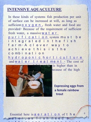 INTENSIVE AQUACULTURE
In these kinds of systems fish production per unit
of surface can be increased at will, as long as
sufficient o x y g e n , fresh water and food are
provided. Because of the requirement of sufficient
fresh water, a massive w a t e r
p u r i f i c a t i o n system m u s t b e
i n t e g r a t e d i n t h e f i s h
f a r m. A c l e v e r w a y t o
a c h i e v e t h i s i s t h e
c o mb i n a t i o n
h y d r o p o n i c h o r t i c u l t u r e
 and w a t e r t r e a t m e n t . The cost of
inputs per unit of fish weight is higher than in
extensive farming, especially because of the high
cost of f i s h f e e d .


                              Expressing eggs from
                              a female rainbow
                               trout




                                                     6
Essential here is a e r a t i o n of t h e
wa t e r , a s f i s h n e e d a
 