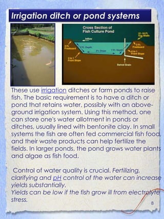 Irrigation ditch or pond systems




These use irrigation ditches or farm ponds to raise
fish. The basic requirement is to have a ditch or
pond that retains water, possibly with an above-
ground irrigation system. Using this method, one
can store one's water allotment in ponds or
ditches, usually lined with bentonite clay. In small
systems the fish are often fed commercial fish food,
and their waste products can help fertilize the
fields. In larger ponds, the pond grows water plants
and algae as fish food.

 Control of water quality is crucial. Fertilizing,
clarifying and pH control of the water can increase
yields substantially.
Yields can be low if the fish grow ill from electrolyte
stress.                                             8
 