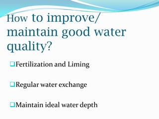 How to improve/
maintain good water
quality?
Fertilization and Liming
Regular water exchange
Maintain ideal water depth
 
