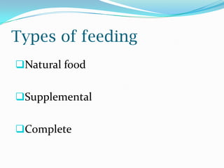 Types of feeding
Natural food
Supplemental
Complete
 