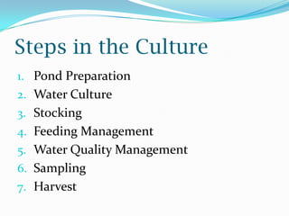 Steps in the Culture
1. Pond Preparation
2. Water Culture
3. Stocking
4. Feeding Management
5. Water Quality Management
6. Sampling
7. Harvest
 