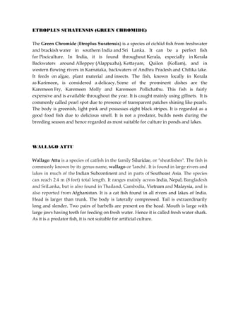 ETROPLUS SURATENSIS (GREEN CHROMIDE)
The Green Chromide (Etroplus Suratensis) is a species of cichlid fish from freshwater
and brackish water in southern India and Sri Lanka. It can be a perfect fish
for Pisciculture. In India, it is found throughout Kerala, especially in Kerala
Backwaters around Alleppey (Alappuzha), Kottayam, Quilon (Kollam), and in
western flowing rivers in Karnataka, backwaters of Andhra Pradesh and Chilika lake.
It feeds on algae, plant material and insects. The fish, known locally in Kerala
as Karimeen, is considered a delicacy. Some of the prominent dishes are the
Karemeen Fry, Karemeen Molly and Karemeen Pollichathu. This fish is fairly
expensive and is available throughout the year. It is caught mainly using gillnets. It is
commonly called pearl spot due to presence of transparent patches shining like pearls.
The body is greenish, light pink and possesses eight black stripes. It is regarded as a
good food fish due to delicious smell. It is not a predator, builds nests during the
breeding season and hence regarded as most suitable for culture in ponds and lakes.
WALLAGO ATTU
Wallago Attu is a species of catfish in the family Siluridae, or "sheatfishes". The fish is
commonly known by its genus name, wallago or 'lanchi'. It is found in large rivers and
lakes in much of the Indian Subcontinent and in parts of Southeast Asia. The species
can reach 2.4 m (8 feet) total length. It ranges mainly across India, Nepal, Bangladesh
and SriLanka, but is also found in Thailand, Cambodia, Vietnam and Malaysia, and is
also reported from Afghanistan. It is a cat fish found in all rivers and lakes of India.
Head is larger than trunk. The body is laterally compressed. Tail is extraordinarily
long and slender. Two pairs of barbells are present on the head. Mouth is large with
large jaws having teeth for feeding on fresh water. Hence it is called fresh water shark.
As it is a predator fish, it is not suitable for artificial culture.
 