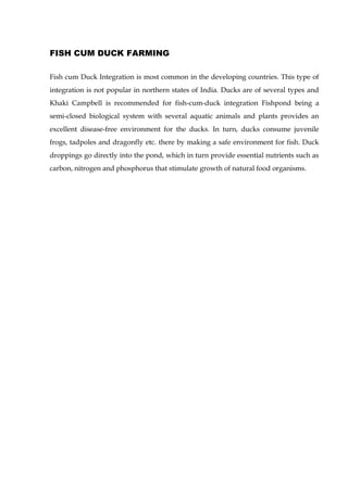 FISH CUM DUCK FARMING
Fish cum Duck Integration is most common in the developing countries. This type of
integration is not popular in northern states of India. Ducks are of several types and
Khaki Campbell is recommended for fish-cum-duck integration Fishpond being a
semi-closed biological system with several aquatic animals and plants provides an
excellent disease-free environment for the ducks. In turn, ducks consume juvenile
frogs, tadpoles and dragonfly etc. there by making a safe environment for fish. Duck
droppings go directly into the pond, which in turn provide essential nutrients such as
carbon, nitrogen and phosphorus that stimulate growth of natural food organisms.
 