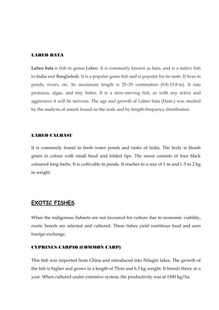 LABEO BATA
Labeo bata is fish in genus Labeo. It is commonly known as bata, and is a native fish
to India and Bangladesh. It is a popular game fish and is popular for its taste. It lives in
ponds, rivers, etc. Its maximum length is 25–35 centimetres (9.8–13.8 in). It eats
protozoa, algae, and tiny fishes. It is a slow-moving fish, so with any active and
aggressive it will be nervous. The age and growth of Labeo bata (Ham.) was studied
by the analysis of annuli found on the scale and by length-frequency distribution.
LABEO CALBASU
It is commonly found in fresh water ponds and tanks of India. The body is bluish
green in colour with small head and folded lips. The snout consists of four black
coloured long barbs. It is cultivable in ponds. It reaches to a size of 1 m and l .5 to 2 kg
in weight.
EXOTIC FISHES
When the indigenous fishnets are not favoured for culture due to economic viability,
exotic breeds are selected and cultured. These fishes yield nutritious food and earn
foreign exchange.
CYPRINUS CARPIO (COMMON CARP)
This fish was imported from China and introduced into Nilagiri lakes. The growth of
the fish is higher and grows to a length of 75cm and 6.5 kg weight. It breeds thrice in a
year. When cultured under extensive system, the productivity was at 1500 kg/ha.
 