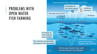 The Perils of Fish Farming | PDF