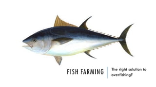 FISH FARMING The right solution to
overfishing?
 