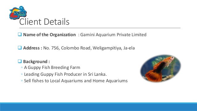 Fish farm & staff management system