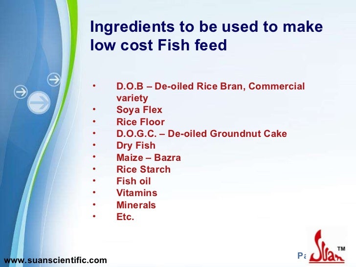 Fish feed