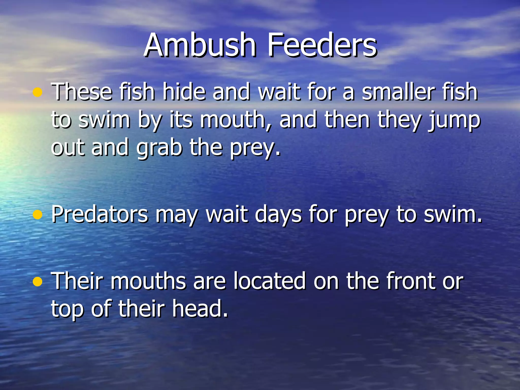Fish feeding technique | PPT