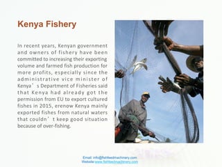 Kenya Fishery
In recent years, Kenyan government
and owners of fishery have been
committed to increasing their exporting
volume and farmed fish production for
more profits, especially since the
administrative vice minister of
Kenya’s Department of Fisheries said
that Kenya had already got the
permission from EU to export cultured
fishes in 2015, erenow Kenya mainly
exported fishes from natural waters
that couldn’t keep good situation
because of over-fishing.
Email: info@fishfeedmachinery.com
Website:www.fishfeedmachinery.com
 