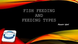 FISH FEEDING
AND
FEEDING TYPES
Azeem Iqbal
 