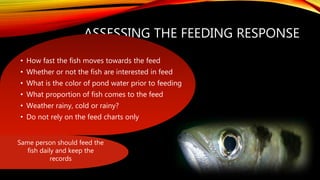 ASSESSING THE FEEDING RESPONSE
• How fast the fish moves towards the feed
• Whether or not the fish are interested in feed
• What is the color of pond water prior to feeding
• What proportion of fish comes to the feed
• Weather rainy, cold or rainy?
• Do not rely on the feed charts only
Same person should feed the
fish daily and keep the
records
 