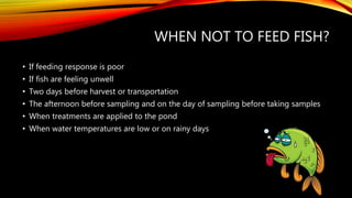 WHEN NOT TO FEED FISH?
• If feeding response is poor
• If fish are feeling unwell
• Two days before harvest or transportation
• The afternoon before sampling and on the day of sampling before taking samples
• When treatments are applied to the pond
• When water temperatures are low or on rainy days
 
