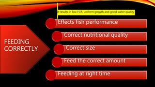 FEEDING
CORRECTLY
Effects fish performance
Correct nutritional quality
Correct size
Feed the correct amount
Feeding at right time
It results in low FCR, uniform growth and good water quality
 