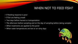 WHEN NOT TO FEED FISH?
• If feeding response is poor
• If fish are feeling unwell
• Two days before harvest or transportation
• The afternoon before sampling and on the day of sampling before taking samples
• When treatments are applied to the pond
• When water temperatures are low or on rainy days
 