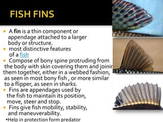 A fin is a thin component or
appendage attached to a larger
body or structure.
 most distinctive features
of a fish
 Compose of bony spine protruding from
the body with skin covering them and joining
them together, either in a webbed fashion,
as seen in most bony fish , or more similar
to a flipper, as seen in sharks.
 Fins are appendages used by
the fish to maintain its position,
move, steer and stop.
 Fins give fish mobility, stability,
and maneuverability.
•Help in protection form predator
 