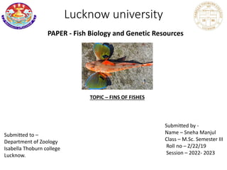 Lucknow university
PAPER - Fish Biology and Genetic Resources
TOPIC – FINS OF FISHES
Submitted to –
Department of Zoology
Isabella Thoburn college
Lucknow.
Submitted by -
Name – Sneha Manjul
Class – M.Sc. Semester III
Roll no – Z/22/19
Session – 2022- 2023
 