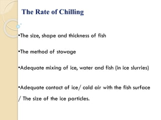 The Rate of Chilling
•The size, shape and thickness of fish
•The method of stowage
•Adequate mixing of ice, water and fish (in ice slurries)
•Adequate contact of ice/ cold air with the fish surface
/ The size of the ice particles.
 