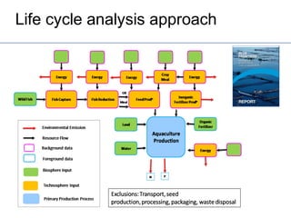 Fish and food security: securing blue growth of aquaculture | PPT