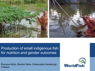 Production of small indigenous fish
for nutrition and gender outcomes
Rumana Akter, Manika Saha, Shakuntala Haraksingh
Thilsted
 