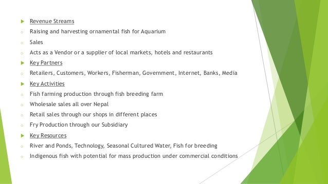 Business plan template picture