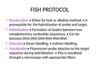 Fish Rnahybridization Comprehensive Overview of Fluorescence In-Situ Hybridization (FISH ...