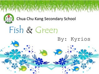 Fish & Green
By: Kyrios
Chua Chu Kang Secondary School
 