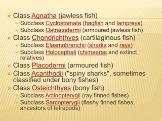 Fish group remedies | PPTX