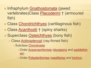 Fish group remedies | PPTX