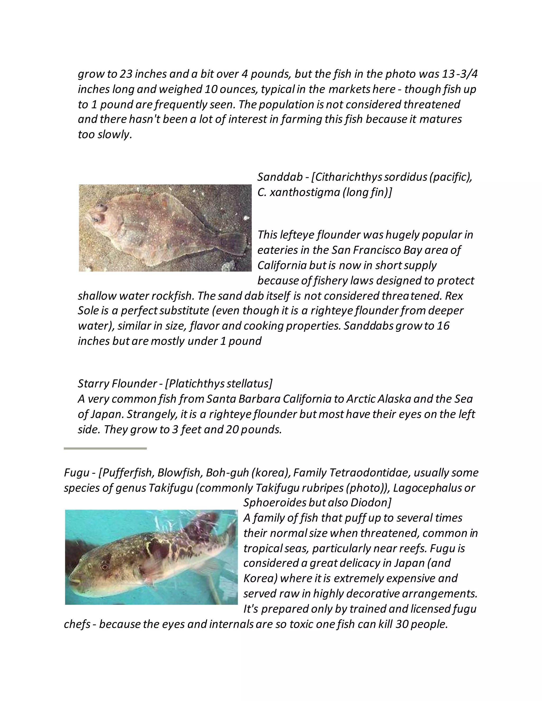 grow to 23 inches and a bit over 4 pounds, but the fish in the photo was 13-3/4
inches long and weighed 10 ounces, typicalin the marketshere - though fish up
to 1 pound are frequently seen. The population isnot considered threatened
and there hasn't been a lot of interest in farming this fish because it matures
too slowly.
Sanddab - [Citharichthyssordidus(pacific),
C. xanthostigma (long fin)]
This lefteye flounder washugely popular in
eateries in the San Francisco Bay area of
California butis now in shortsupply
because of fishery laws designed to protect
shallow water rockfish. The sand dab itself is not considered threatened. Rex
Sole is a perfectsubstitute (even though it is a righteye flounder from deeper
water), similar in size, flavor and cooking properties. Sanddabsgrowto 16
inches butare mostly under 1 pound
Starry Flounder- [Platichthysstellatus]
A very common fish from Santa Barbara California to Arctic Alaska and the Sea
of Japan. Strangely, itis a righteye flounder butmosthave their eyes on the left
side. They grow to 3 feet and 20 pounds.
Fugu - [Pufferfish, Blowfish, Boh-guh (korea),Family Tetraodontidae, usually some
species of genus Takifugu (commonly Takifugu rubripes (photo)), Lagocephalus or
Sphoeroides butalso Diodon]
A family of fish that puff up to several times
their normalsize when threatened, common in
tropicalseas, particularly near reefs. Fugu is
considered a greatdelicacy in Japan (and
Korea) where itis extremely expensive and
served raw in highly decorative arrangements.
It's prepared only by trained and licensed fugu
chefs- because the eyes and internalsare so toxic one fish can kill 30 people.
 