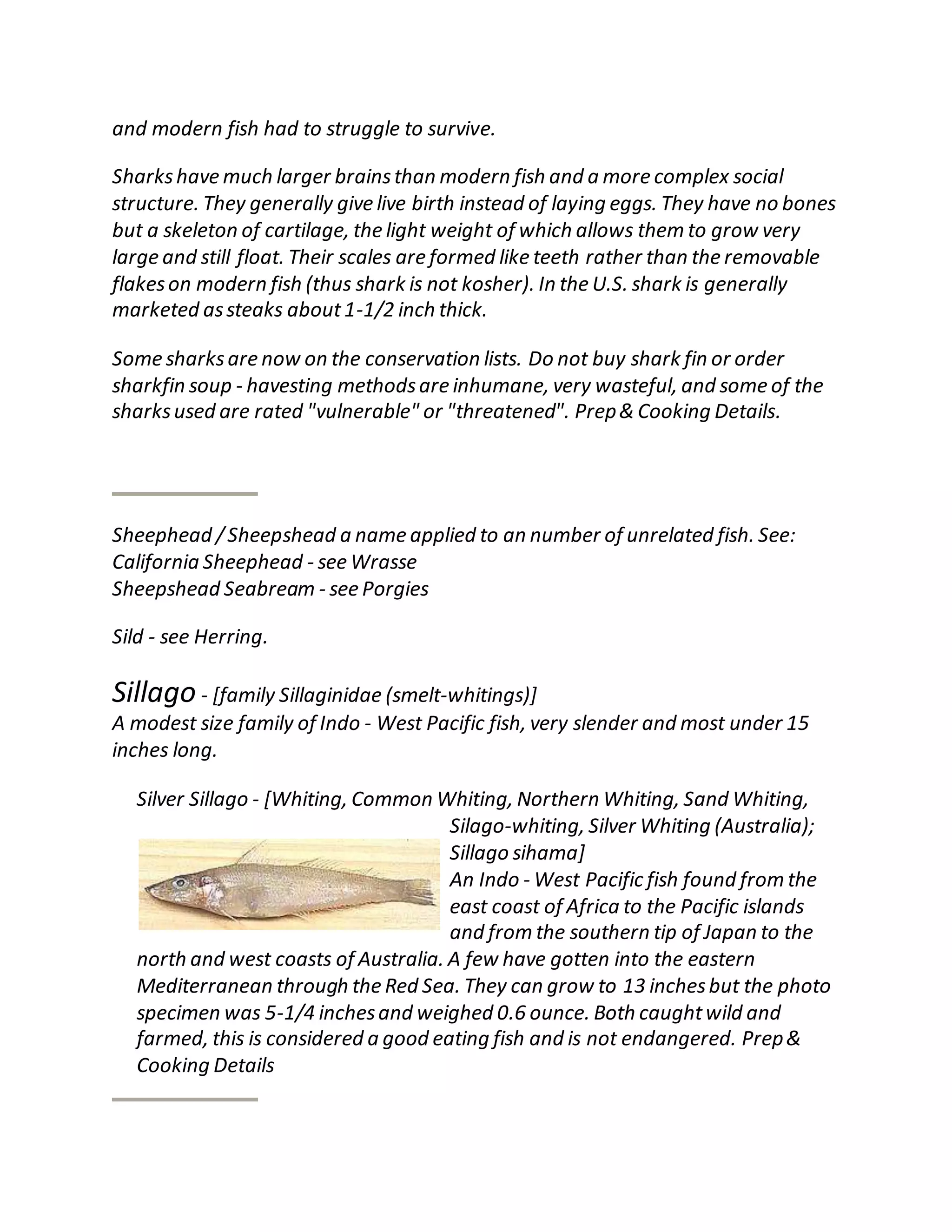 and modern fish had to struggle to survive.
Sharkshave much larger brainsthan modern fish and a more complex social
structure. They generally give live birth instead of laying eggs. They have no bones
but a skeleton of cartilage, the light weight of which allows them to grow very
large and still float. Their scales are formed like teeth rather than the removable
flakeson modern fish (thus shark is not kosher). In the U.S. shark is generally
marketed assteaks about1-1/2 inch thick.
Some sharksare now on the conservation lists. Do not buy shark fin or order
sharkfin soup - havesting methodsare inhumane, very wasteful, and some of the
sharksused are rated "vulnerable" or "threatened". Prep& Cooking Details.
Sheephead /Sheepshead a name applied to an number of unrelated fish. See:
California Sheephead - see Wrasse
Sheepshead Seabream - see Porgies
Sild - see Herring.
Sillago - [family Sillaginidae (smelt-whitings)]
A modest size family of Indo - West Pacific fish, very slender and most under 15
inches long.
Silver Sillago - [Whiting, Common Whiting, Northern Whiting, Sand Whiting,
Silago-whiting, Silver Whiting (Australia);
Sillago sihama]
An Indo - West Pacific fish found from the
east coast of Africa to the Pacific islands
and from the southern tip of Japan to the
north and west coasts of Australia. A few have gotten into the eastern
Mediterranean through the Red Sea. They can grow to 13 inchesbut the photo
specimen was 5-1/4 inchesand weighed 0.6 ounce. Both caughtwild and
farmed, this is considered a good eating fish and is not endangered. Prep&
Cooking Details
 