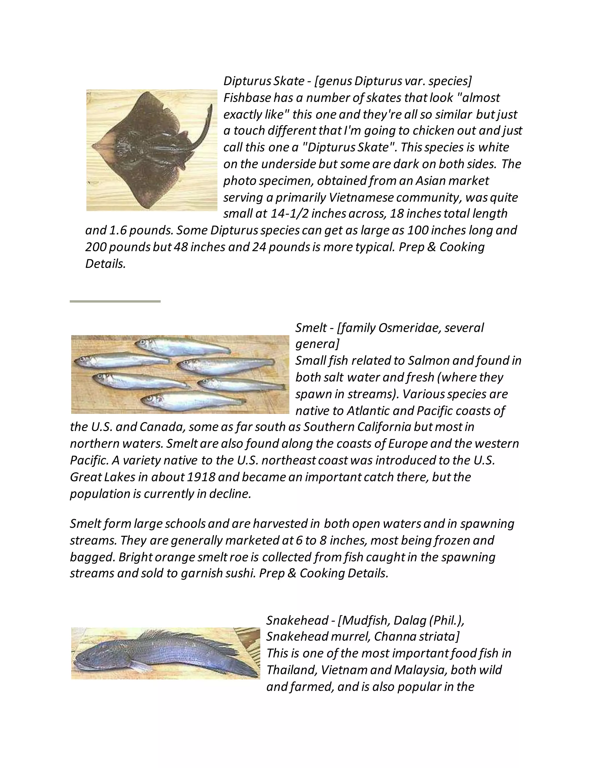 DipturusSkate - [genusDipturusvar. species]
Fishbase has a number of skates thatlook "almost
exactly like" this one and they're all so similar butjust
a touch differentthatI'm going to chicken out and just
call this one a "DipturusSkate". Thisspecies is white
on the underside but some are dark on both sides. The
photo specimen, obtained from an Asian market
serving a primarily Vietnamese community, wasquite
small at 14-1/2 inchesacross, 18 inchestotal length
and 1.6 pounds. Some Dipturusspeciescan get as large as 100 inches long and
200 poundsbut48 inches and 24 poundsis more typical. Prep & Cooking
Details.
Smelt - [family Osmeridae, several
genera]
Small fish related to Salmon and found in
both salt water and fresh (where they
spawn in streams). Variousspecies are
native to Atlantic and Pacific coasts of
the U.S. and Canada, some as far south as Southern California butmostin
northern waters. Smeltare also found along the coasts of Europe and the western
Pacific. A variety native to the U.S. northeastcoastwas introduced to the U.S.
GreatLakes in about1918 and became an importantcatch there, butthe
population is currently in decline.
Smelt form large schoolsand are harvested in both open watersand in spawning
streams. They are generally marketed at6 to 8 inches, most being frozen and
bagged. Brightorange smeltroe is collected from fish caughtin the spawning
streams and sold to garnish sushi. Prep & Cooking Details.
Snakehead - [Mudfish, Dalag (Phil.),
Snakehead murrel, Channa striata]
This is one of the most importantfood fish in
Thailand, Vietnam and Malaysia, both wild
and farmed, and is also popular in the
 