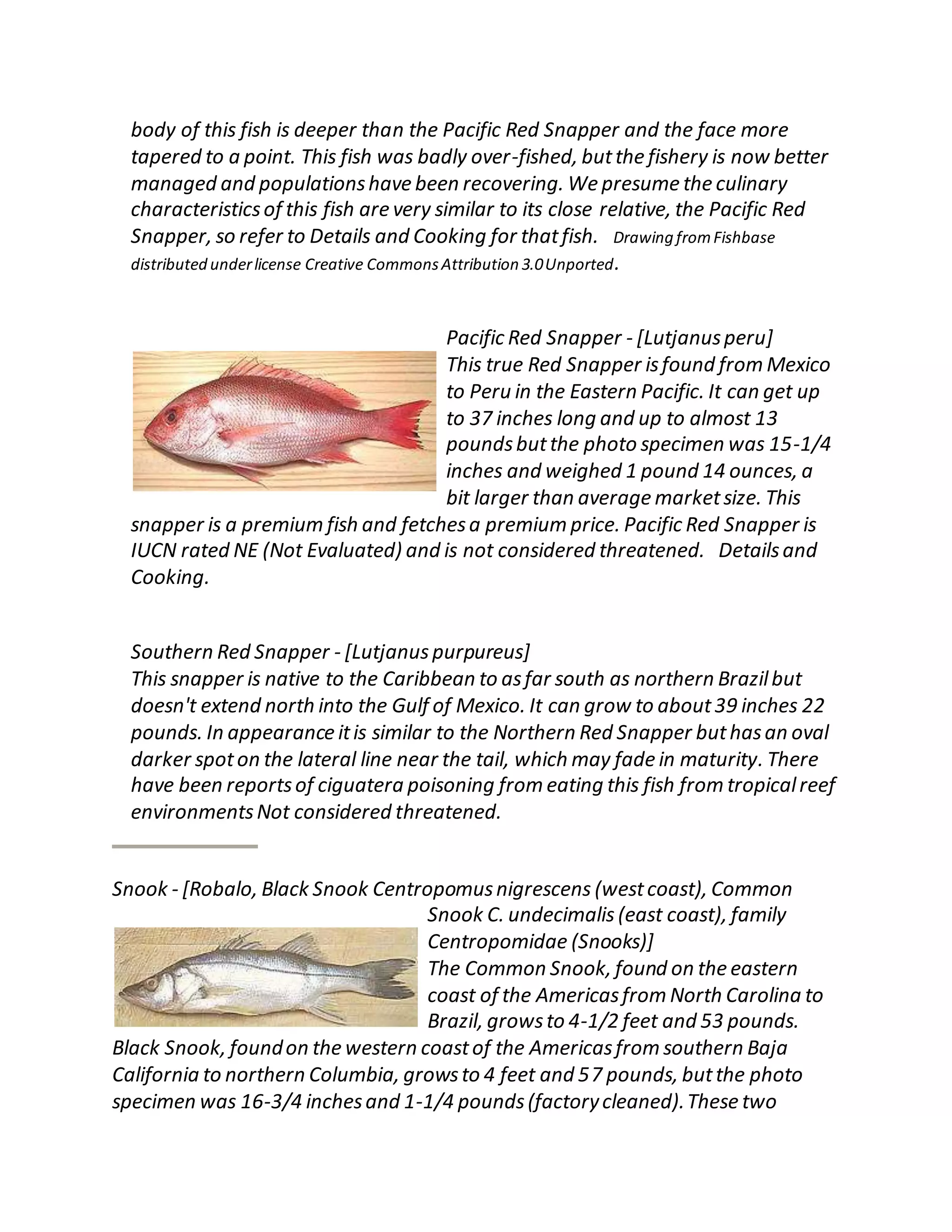 body of this fish is deeper than the Pacific Red Snapper and the face more
tapered to a point. This fish was badly over-fished, butthe fishery is now better
managed and populationshave been recovering. We presume the culinary
characteristicsof this fish are very similar to its close relative, the Pacific Red
Snapper, so refer to Details and Cooking for thatfish. Drawing fromFishbase
distributed underlicense Creative CommonsAttribution 3.0Unported.
Pacific Red Snapper - [Lutjanusperu]
This true Red Snapper isfound from Mexico
to Peru in the Eastern Pacific. It can get up
to 37 inches long and up to almost 13
poundsbutthe photo specimen was 15-1/4
inches and weighed 1 pound 14 ounces, a
bit larger than average marketsize. This
snapper is a premium fish and fetchesa premium price. Pacific Red Snapper is
IUCN rated NE (Not Evaluated) and is not considered threatened. Detailsand
Cooking.
Southern Red Snapper - [Lutjanuspurpureus]
This snapper is native to the Caribbean to asfar south as northern Brazilbut
doesn't extend north into the Gulf of Mexico. It can grow to about39 inches 22
pounds. In appearance itis similar to the Northern Red Snapper buthasan oval
darker spoton the lateral line near the tail, which may fade in maturity. There
have been reportsof ciguatera poisoning from eating this fish from tropicalreef
environmentsNot considered threatened.
Snook - [Robalo, Black Snook Centropomusnigrescens (westcoast), Common
Snook C. undecimalis (east coast), family
Centropomidae (Snooks)]
The Common Snook, found on the eastern
coast of the Americasfrom North Carolina to
Brazil, growsto 4-1/2 feet and 53 pounds.
Black Snook, foundon the western coastof the Americasfrom southern Baja
California to northern Columbia, growsto 4 feet and 57 pounds, butthe photo
specimen was 16-3/4 inchesand 1-1/4 pounds(factorycleaned).These two
 