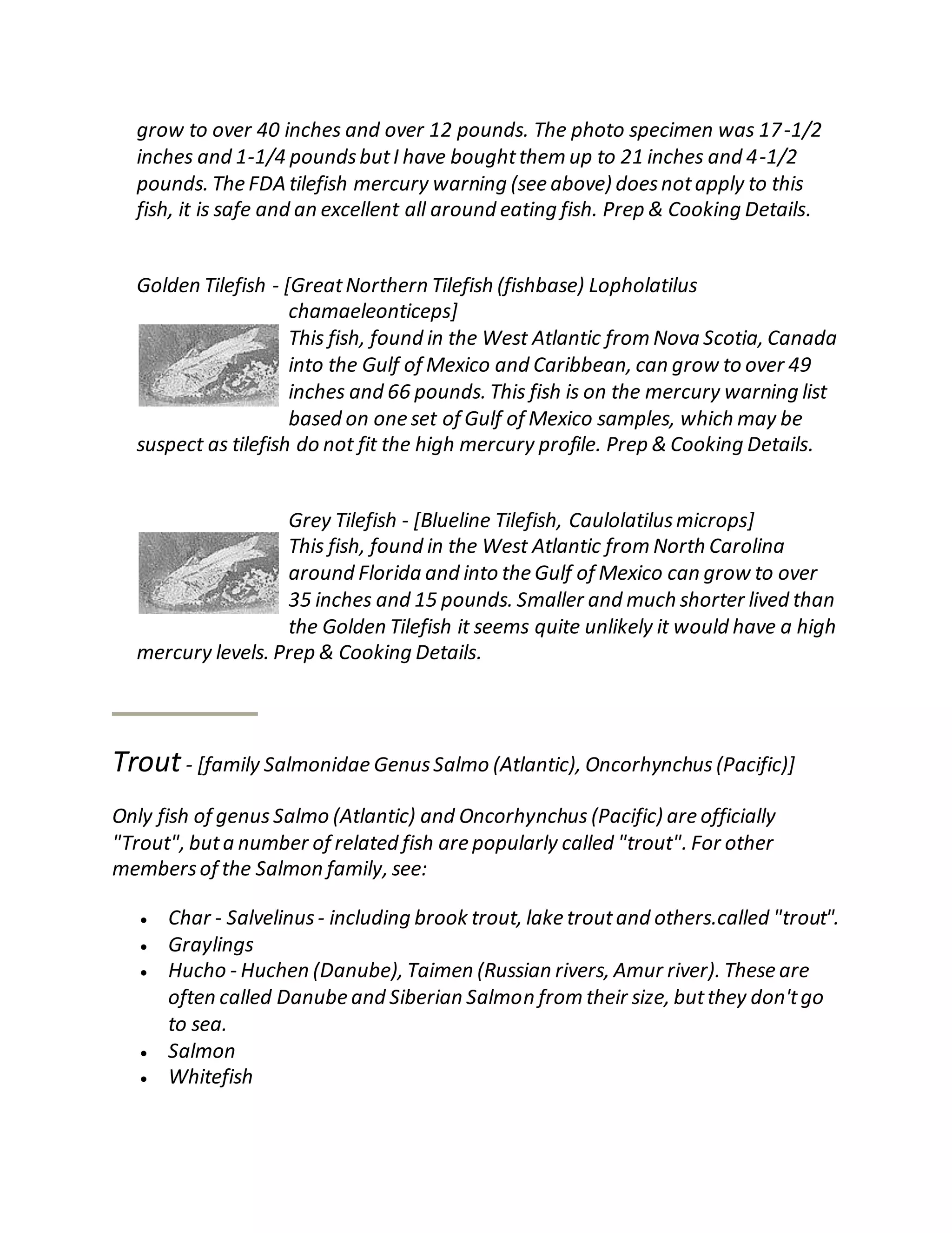 grow to over 40 inches and over 12 pounds. The photo specimen was 17-1/2
inches and 1-1/4 poundsbutI have boughtthem up to 21 inches and 4-1/2
pounds. The FDA tilefish mercury warning (see above) doesnotapply to this
fish, it is safe and an excellent all around eating fish. Prep & Cooking Details.
Golden Tilefish - [GreatNorthern Tilefish (fishbase) Lopholatilus
chamaeleonticeps]
This fish, found in the West Atlantic from Nova Scotia, Canada
into the Gulf of Mexico and Caribbean, can grow to over 49
inches and 66 pounds. This fish is on the mercury warning list
based on one set of Gulf of Mexico samples, which may be
suspect as tilefish do not fit the high mercury profile. Prep & Cooking Details.
Grey Tilefish - [Blueline Tilefish, Caulolatilusmicrops]
This fish, found in the West Atlantic from North Carolina
around Florida and into the Gulf of Mexico can grow to over
35 inches and 15 pounds. Smaller and much shorter lived than
the Golden Tilefish it seems quite unlikely it would have a high
mercury levels. Prep & Cooking Details.
Trout- [family Salmonidae GenusSalmo (Atlantic), Oncorhynchus (Pacific)]
Only fish of genus Salmo (Atlantic) and Oncorhynchus (Pacific) are officially
"Trout", buta number of related fish are popularly called "trout". For other
membersof the Salmon family, see:
 Char - Salvelinus- including brook trout, lake troutand others.called "trout".
 Graylings
 Hucho - Huchen (Danube), Taimen (Russian rivers, Amur river). These are
often called Danube and Siberian Salmon from their size, butthey don'tgo
to sea.
 Salmon
 Whitefish
 