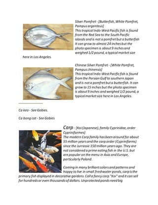 Fish Guide