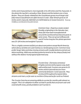 Fish Guide
