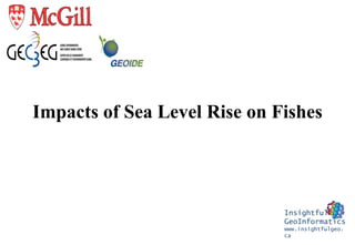 Impacts of Sea Level Rise on Fishes
Insightful
GeoInformatics
www.insightfulgeo.
ca
 