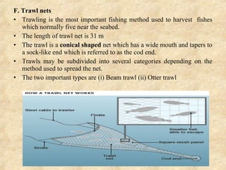F. Trawl nets
• Trawling is the most important fishing method used to harvest fishes
which normally five near the seabed.
• The length of trawl net is 31 m
• The trawl is a conical shaped net which has a wide mouth and tapers to
a sock-like end which is referred to as the cod end.
• Trawls may be subdivided into several categories depending on the
method used to spread the net.
• The two important types are (i) Beam trawl (ii) Otter trawl
 