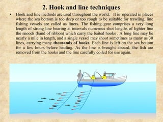 FISH HARVESTING | PPT