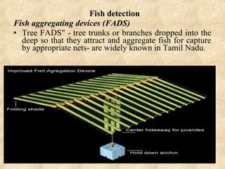 Fish detection
Fish aggregating devices (FADS)
• Tree FADS" - tree trunks or branches dropped into the
deep so that they attract and aggregate fish for capture
by appropriate nets- are widely known in Tamil Nadu.
Other anchored FADS (used for tunas)
• Attraction of pelagic fishes including tunas to floating
objects has been documented well. In Philippines,
commercial harvesting of tunas from around tuna
attracting "payaos' has been reported. Tuna fisherman
to concentrate schools of tunas has used anchored
floating bamboo rafts for many years here. Aggregated
tunas were traditionally caught by hook and lines.
Recently purse seining has been introduced.
 