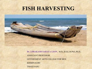 FISH HARVESTING
Dr. J.PRAKASH SAHAYA LEON, M.Sc.,B.Ed.,M.Phil.,Ph.D.,
ASSISTANT PROFESSOR
GOVERNMENT ARTS COLLEGE FOR MEN
KRISHNAGIRI
TMAILNADU
 