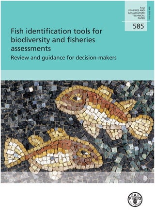 585
FAO
FISHERIES AND
AQUACULTURE
TECHNICAL
PAPER
Fish identiﬁcation tools for
biodiversity and ﬁsheries
assessments
Review and guidance for decision-makers
ISSN2070-7010
 